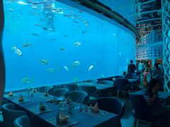 -瑞德姆美人鱼海底演艺主题餐厅(亚龙湾店)