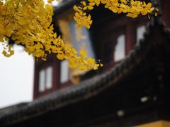 -圆通寺