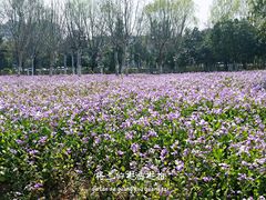 -河海大学(江宁校区)
