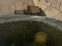 -泉城欧乐堡戏水湾艺术养生温泉