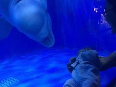 -多彩贵州城极地海洋世界