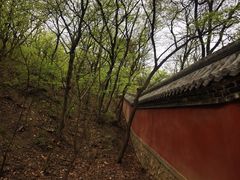 -阳台山自然风景区