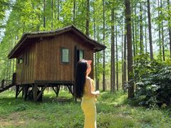 -黄海国家森林公园