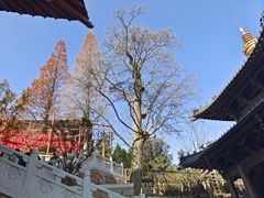 -径山寺