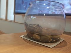 -卡旺卡(合肥瑶海保利广场店)