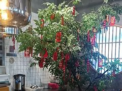 -花悦豆香