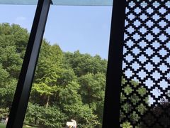 -潮府馆·非遗潮州菜·港式点心(世纪公园店)