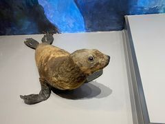-大连自然博物馆·地球展厅