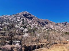 -妙峰山风景名胜区