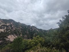 -大岭沟猕猴桃谷风景区