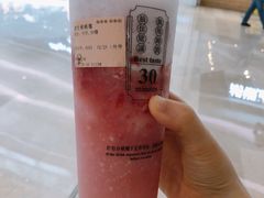 益生桃桃莓-我是酸奶君(壹方城店)