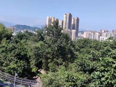 -福道