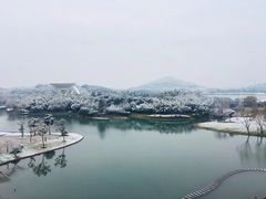 -上海佘山世茂艾美酒店