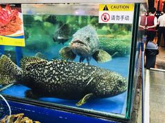 水产区-东江海鲜酒家(艺都分店)