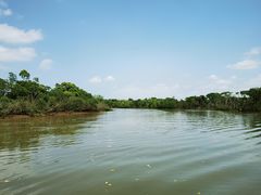 -东寨港红树林旅游区