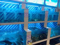 -野渡坡·极致湘菜·庭院餐厅(汉阳店)
