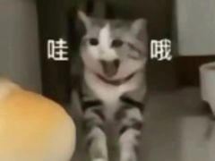 -千日贺茶餐厅(高新万达店)