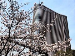 -无锡新湖铂尔曼大酒店