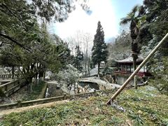 -莫干山风景区