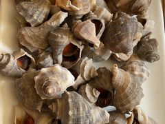 -宾朋海鲜饭庄(兴海路店)