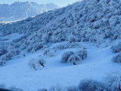 -太子岭滑雪场