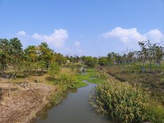 -上海滨江森林公园