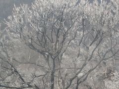 -紫金山索道-售票处