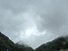 -狮子沟牧场
