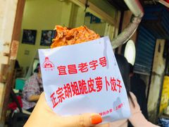 -半月镰胡姐脆皮萝卜饺子