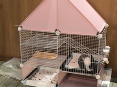 -大象厨房(重庆道店)