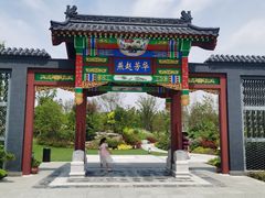 -东平国家森林公园