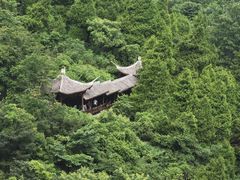 -武陵山森林公园
