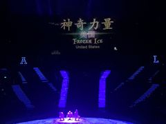 -珠海横琴长隆《卡卡虎奇遇记》