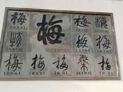 -无锡梅园公园