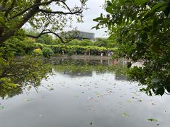 -嘉定紫藤园