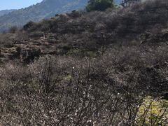 -广州市流溪河国家森林公园