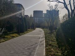 -西海子公园
