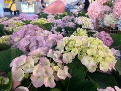 -HALO广场(梨园路店)