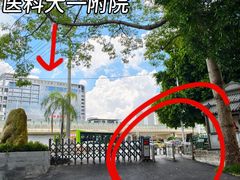 -南宁南湖公园