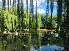-玲珑塔公园