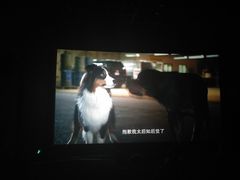 -博纳国际影城(铜锣湾激光巨幕杜比店)