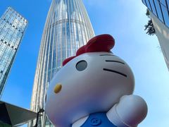 -深圳湾万象城(南山店)