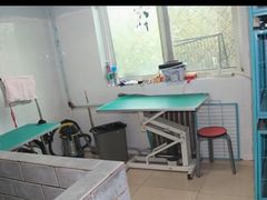 -乐宠动物医院