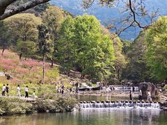 -广州市石门国家森林公园