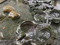 -成都市活水公园