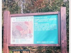 -南京市无想山景区