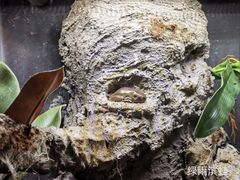 -中国湿地博物馆