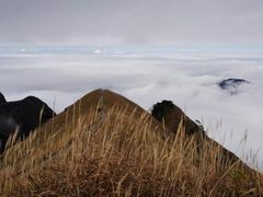-萍乡武功山风景名胜区