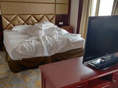 -上海莎海国际酒店