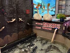 -山河屯铁锅炖(哈西站店)